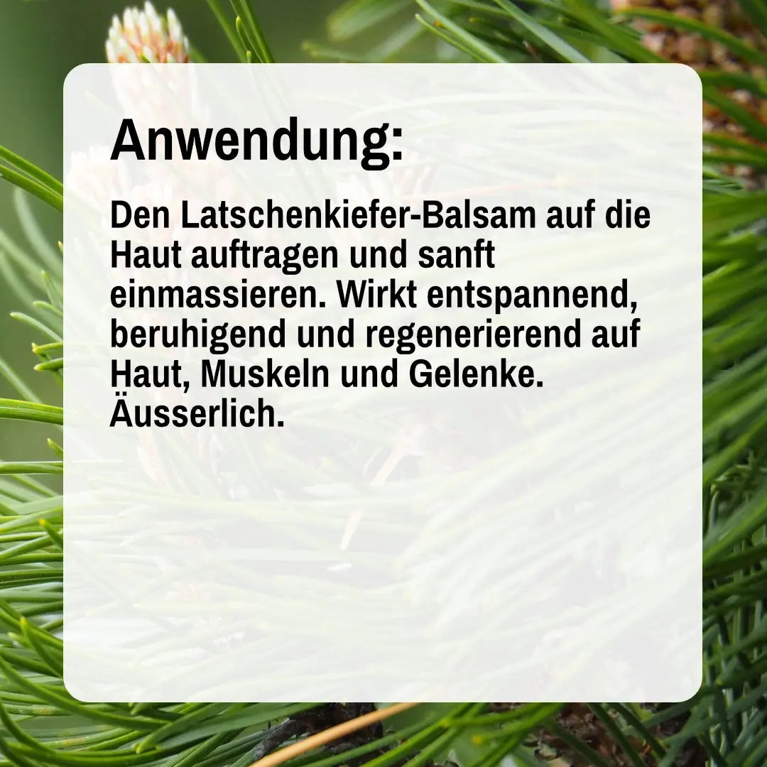 Latschenkiefer Balsam - 80ml 4TheTaste