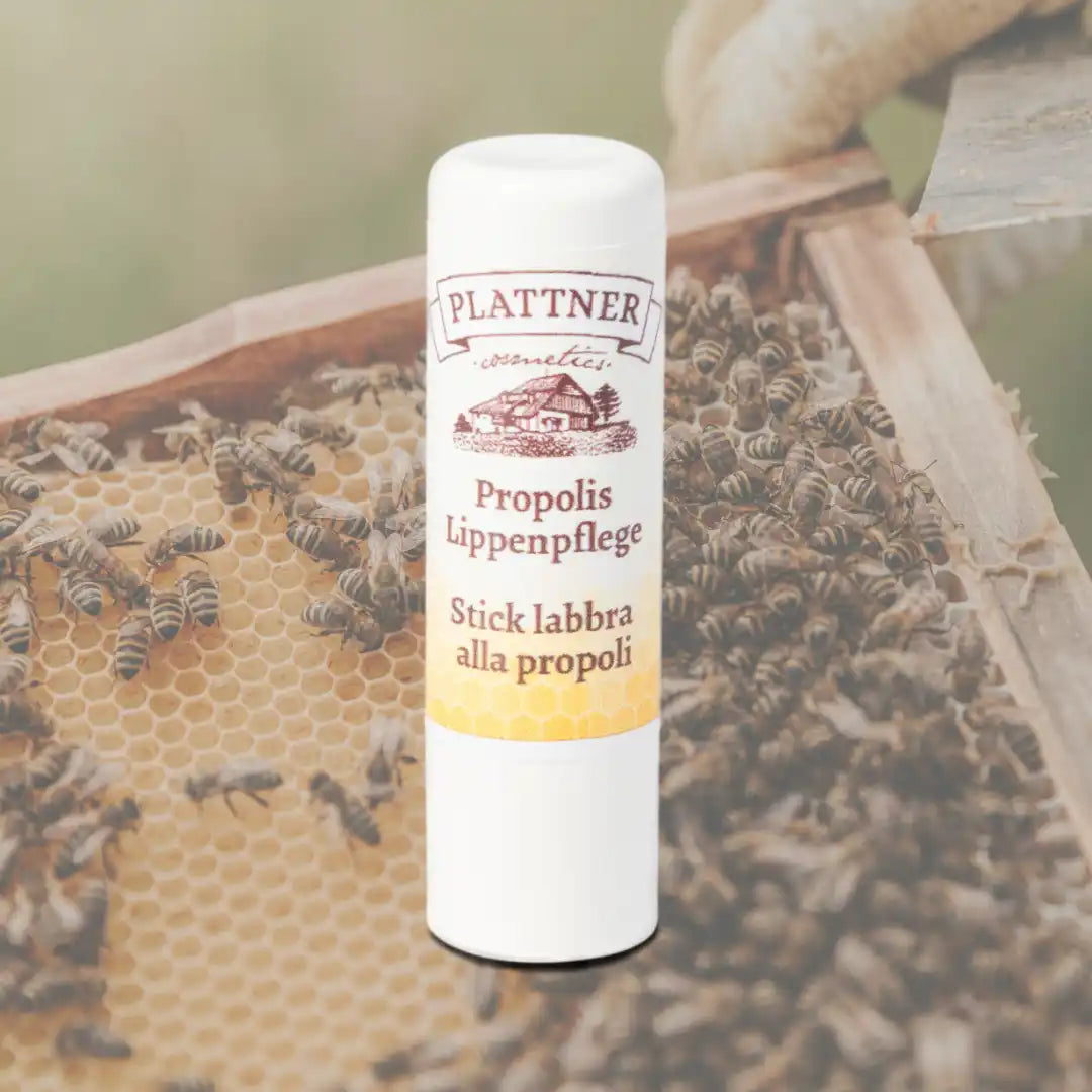 Lippenpflege mit Propolis - 5ml