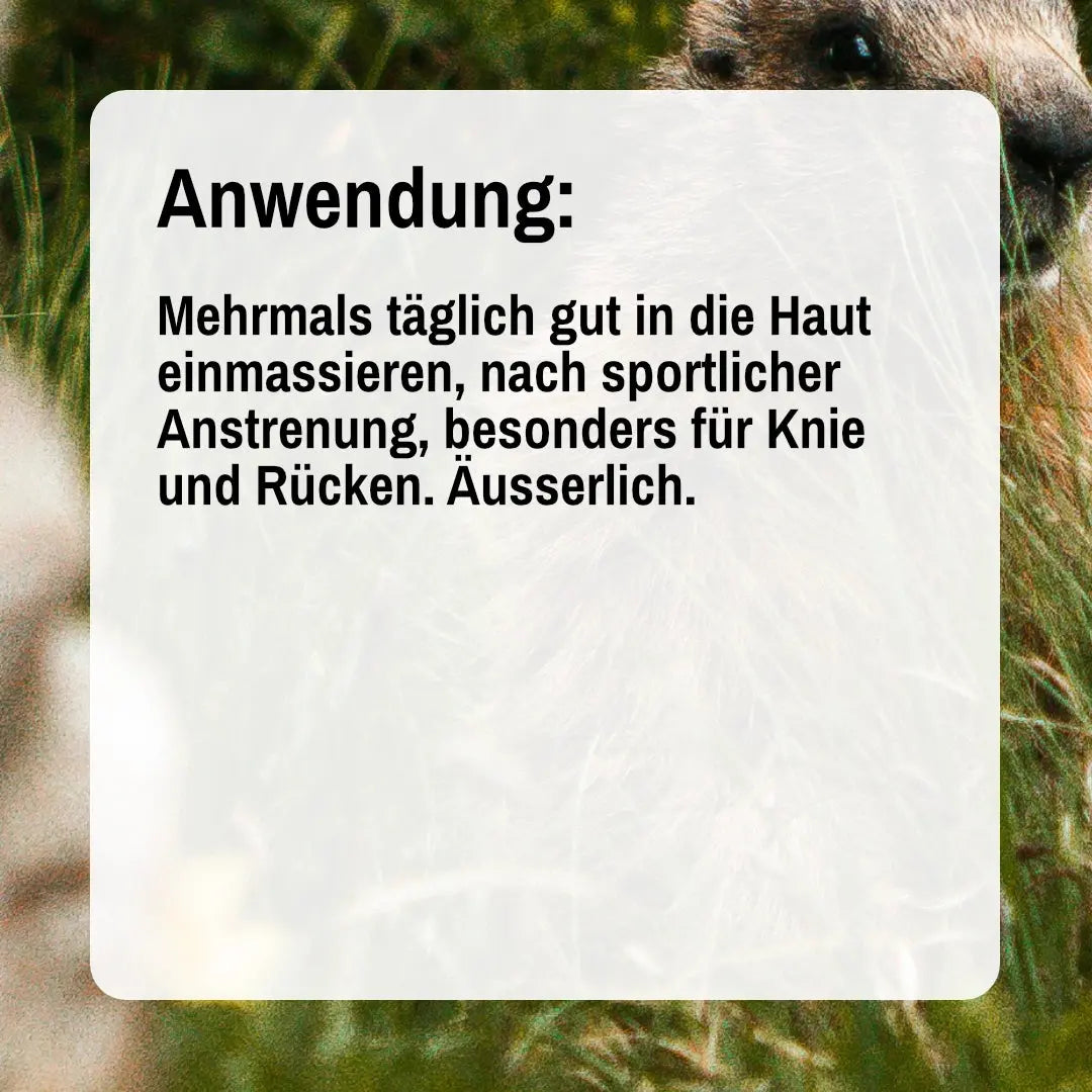 Murmeltieröl Creme - 80ml 4TheTaste