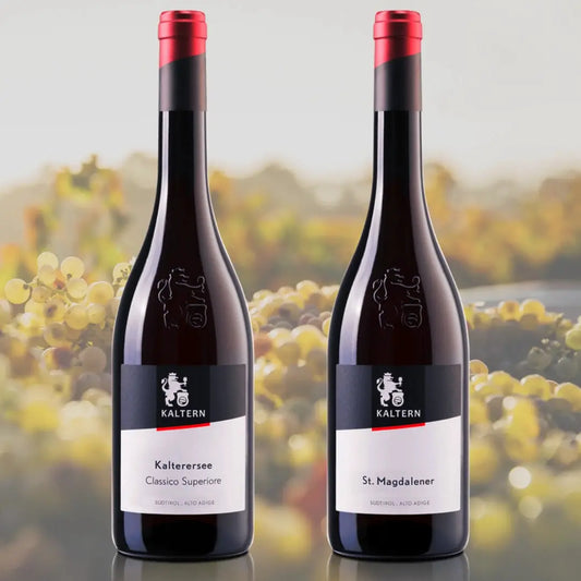 Rotwein Degustationspaket 4TheTaste