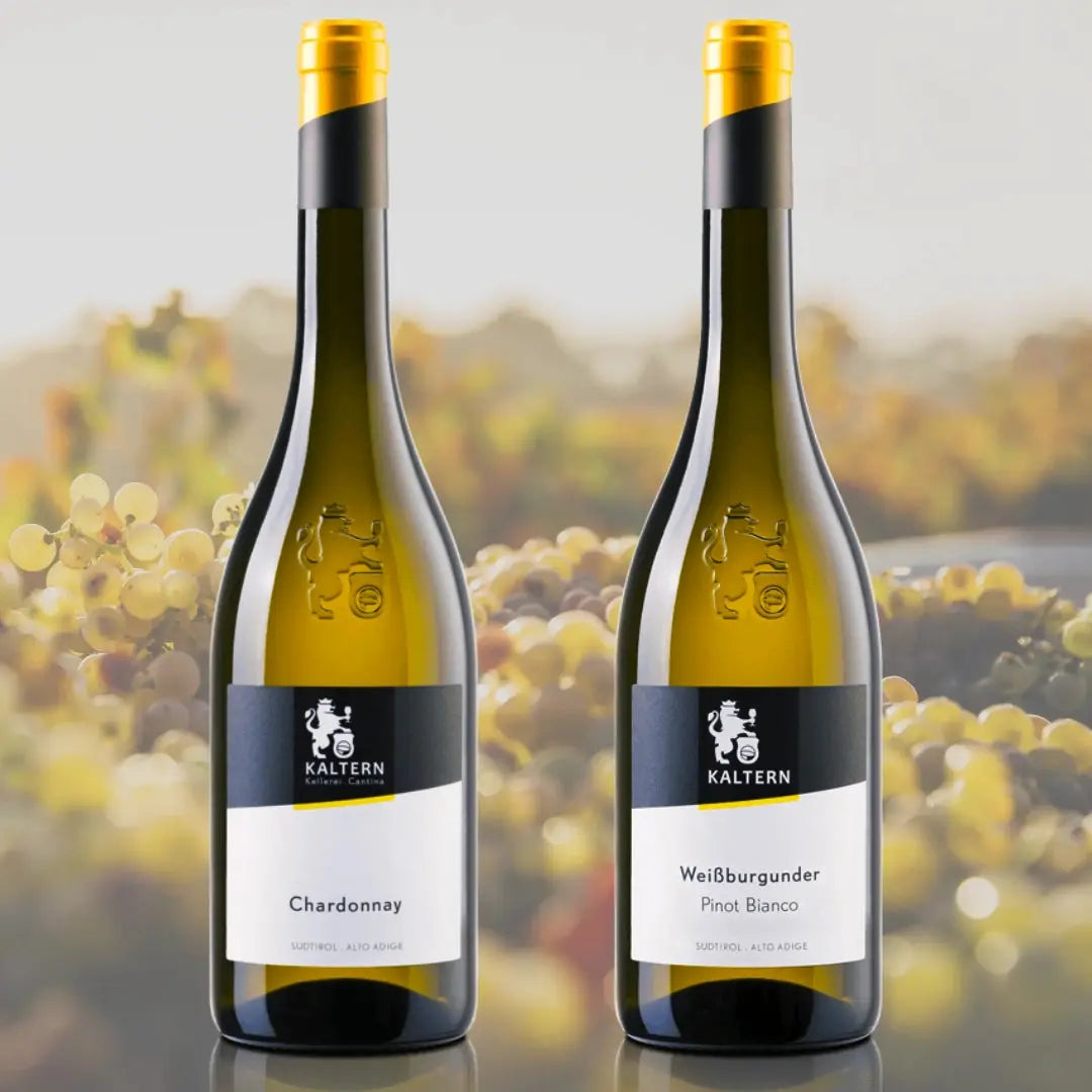 Weißwein Degustationspaket 4TheTaste