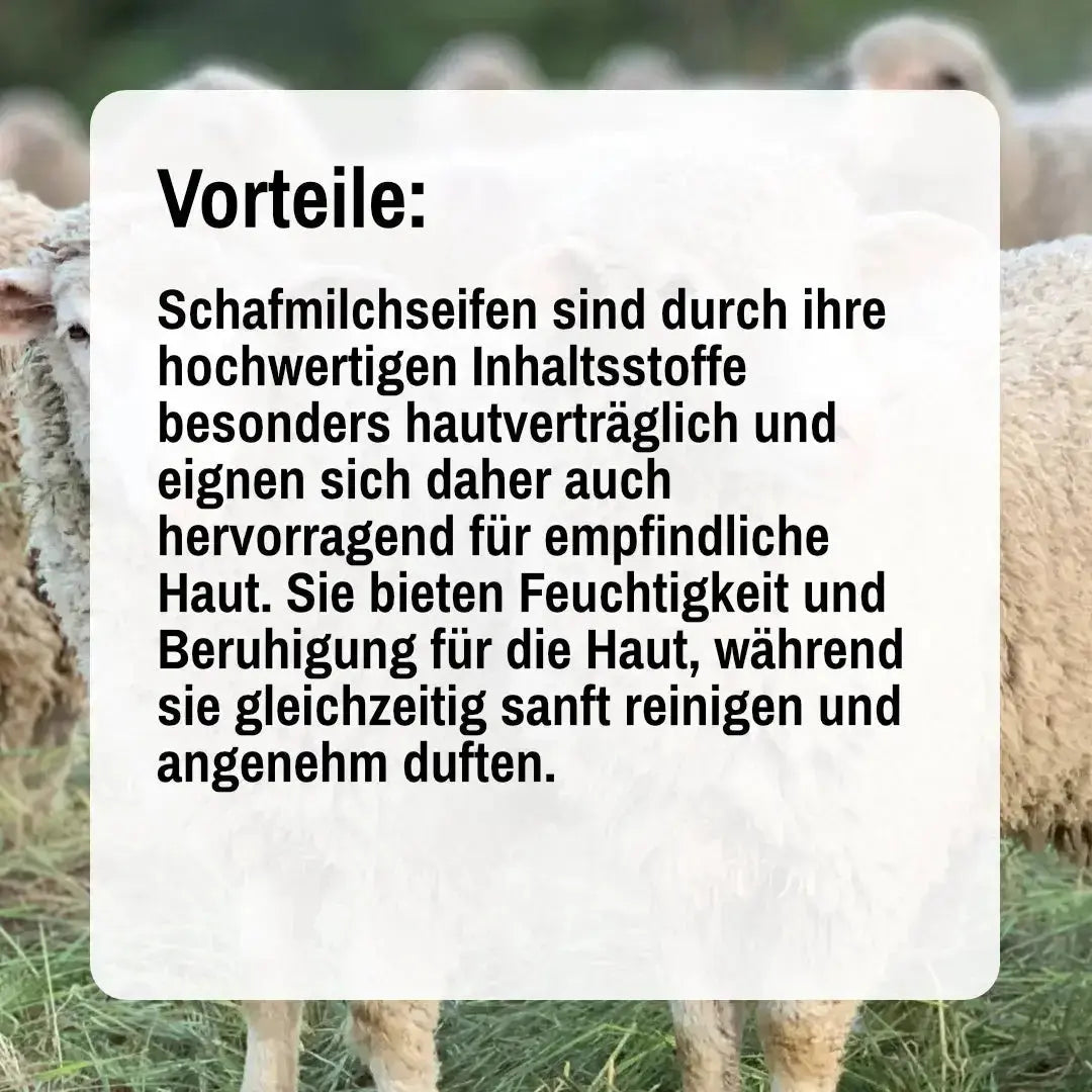 Schafmilchseife Zirbe - 100g 4TheTaste
