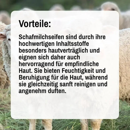 Schafmilchseife Zirbe - 100g 4TheTaste
